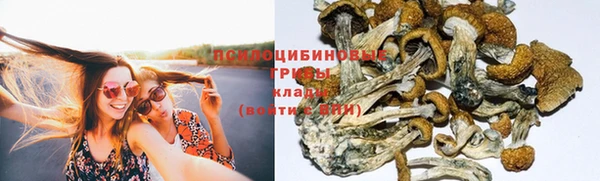 гашиш Беломорск