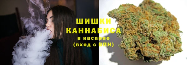 ешки Белокуриха