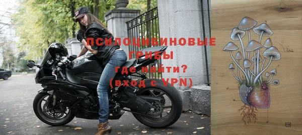 ешки Белокуриха