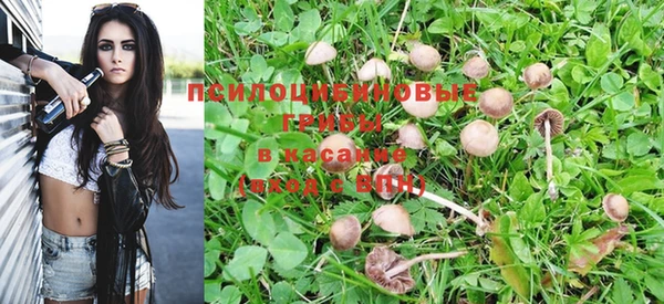 гашиш Беломорск
