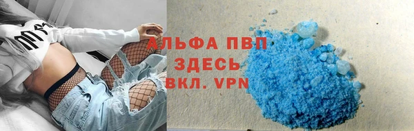 ешки Белокуриха